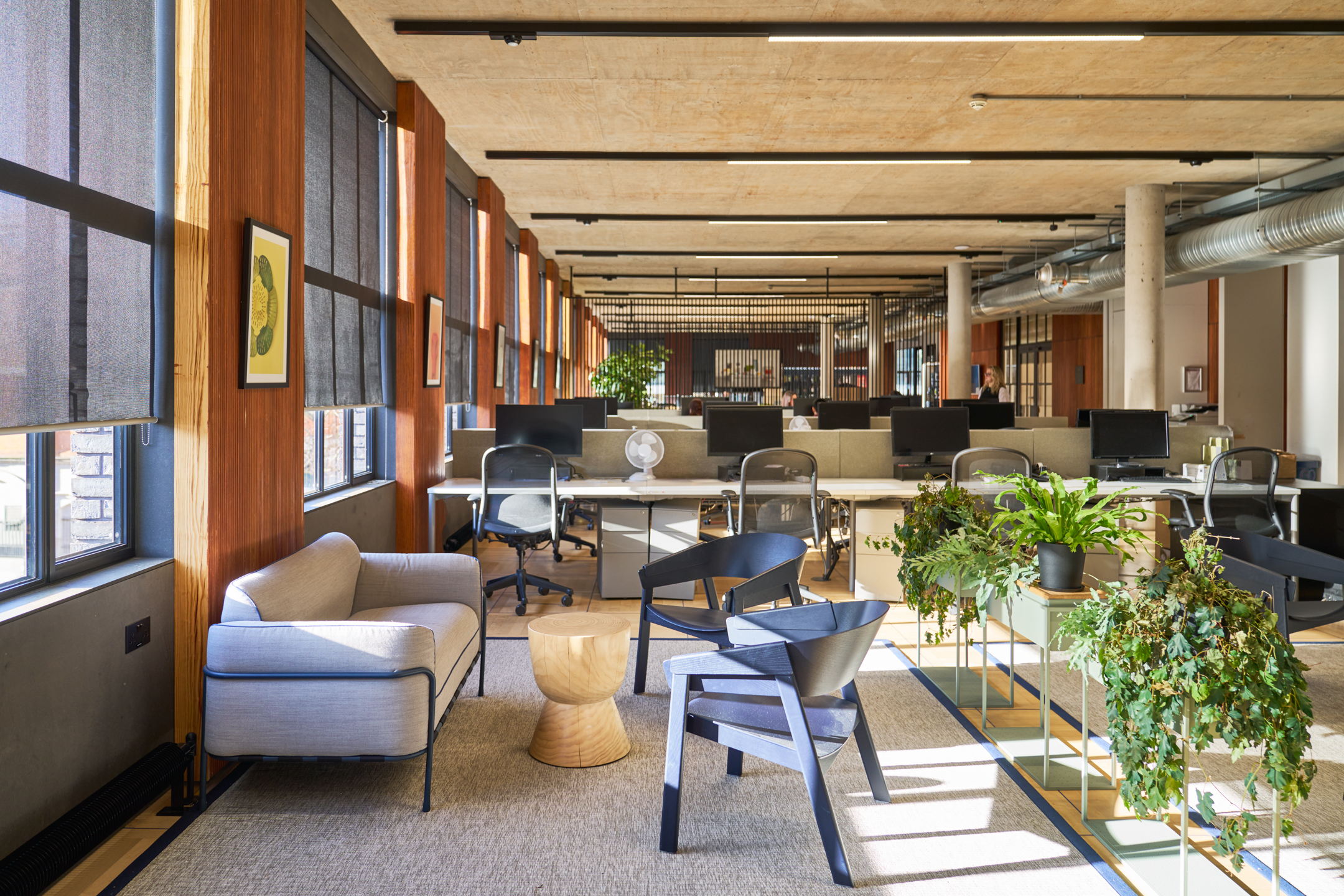 Open-plan office area at Joseph Joseph, showcasing modern workstations, natural light, and greenery for a comfortable workspace.