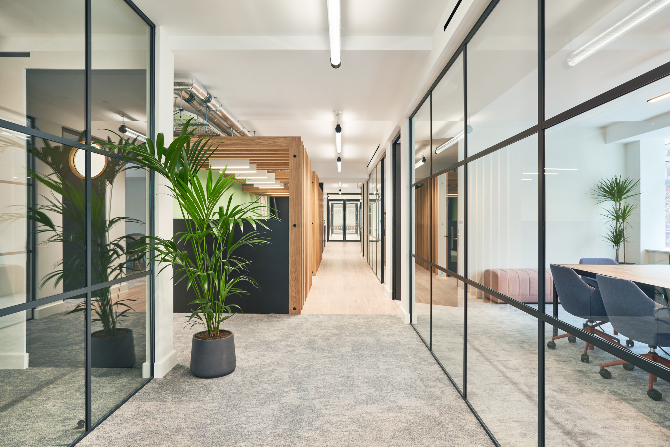 Sophisticated Hallway featuring Glass Partitions, Biophilic Plants and Carpet